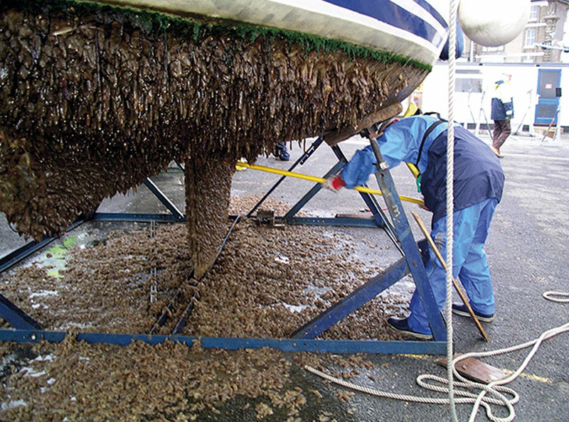 antifouling paint